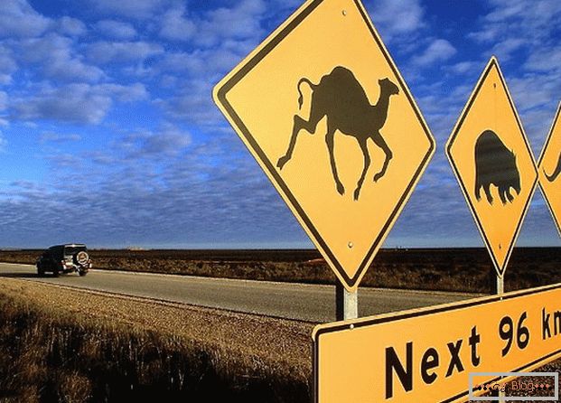 Austrálska dopravná značka varuje, že na ceste môžu bežať rôzne zvieratá.