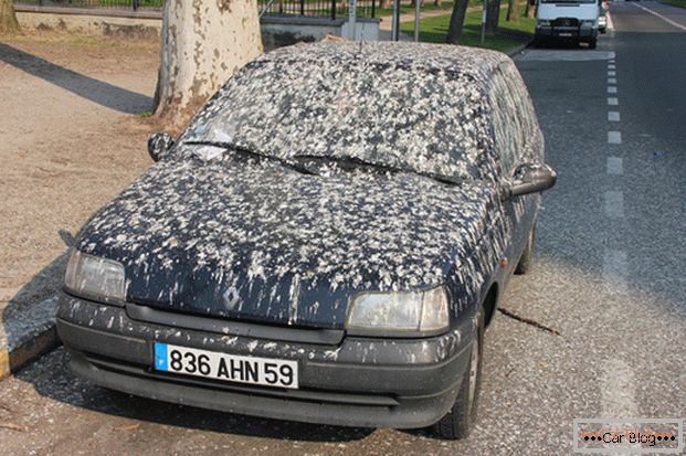 Vtáčie výkaly na karosérii auta - na odpad